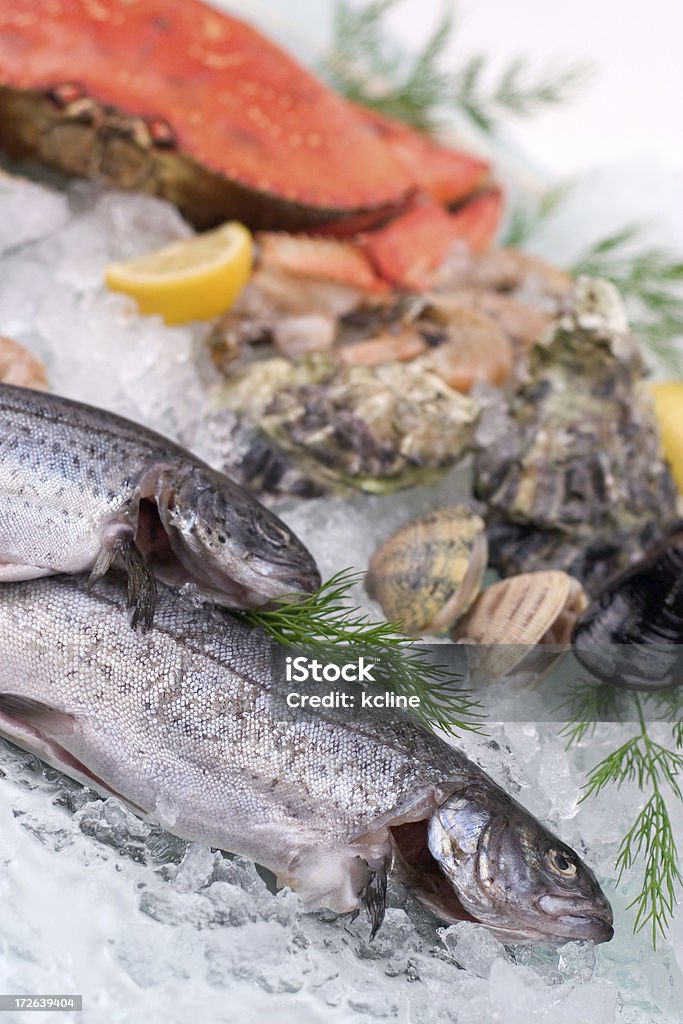 Fisch und Meeresfrüchte - Lizenzfrei Fisch Stock-Foto