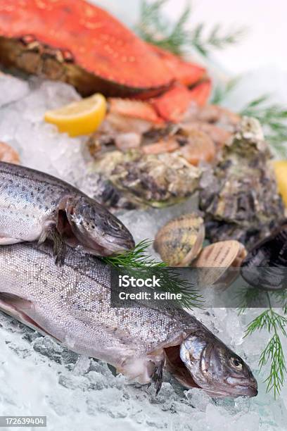 Fisch Und Meeresfrüchte Stockfoto und mehr Bilder von Fisch - Fisch, Fische und Meeresfrüchte, Fotografie