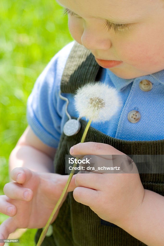 Enfant avec Fleur de pissenlit - Photo de Activité libre de droits