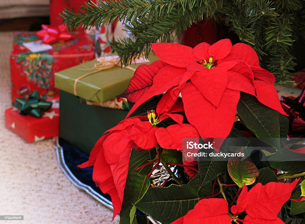 Stella di Natale di Natale con albero regali & - Foto stock royalty-free di Stella di Natale