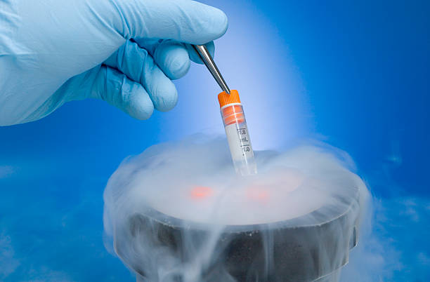 Cryopreservation Cryopreservation of samples. frozen stock pictures, royalty-free photos & images