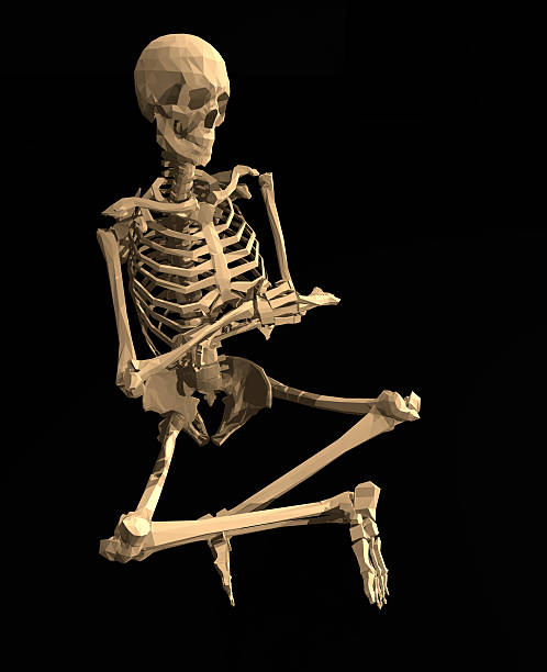 esqueleto meditates em um estilo indiano posição de estar - human skeleton sitting meditating men - fotografias e filmes do acervo