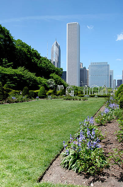 aon center w chicago grant park - grounds city life park grant park zdjęcia i obrazy z banku zdjęć