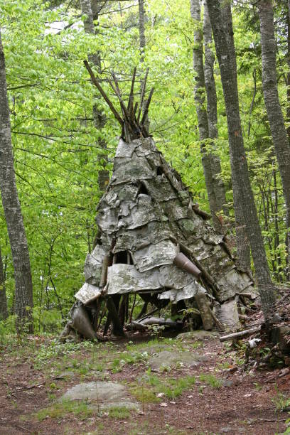 Teep Tree 40+ Birch Bark Teepee Stock Photos, Pictures & Royalty-Free Images - iStock