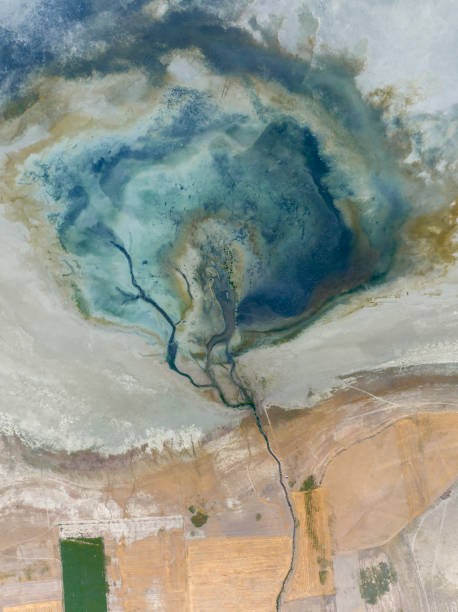 Natural shapes and textures on lake