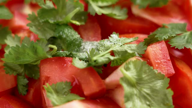 Sprinkling salt crystals on a vegetable salad with ripe red tomatoes and fresh green cilantro leaf close up. Rotation