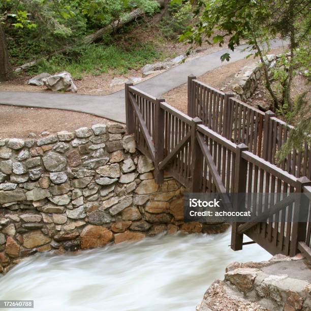 Elija Una Ruta Foto de stock y más banco de imágenes de Agua - Agua, Aire libre, Alegoría