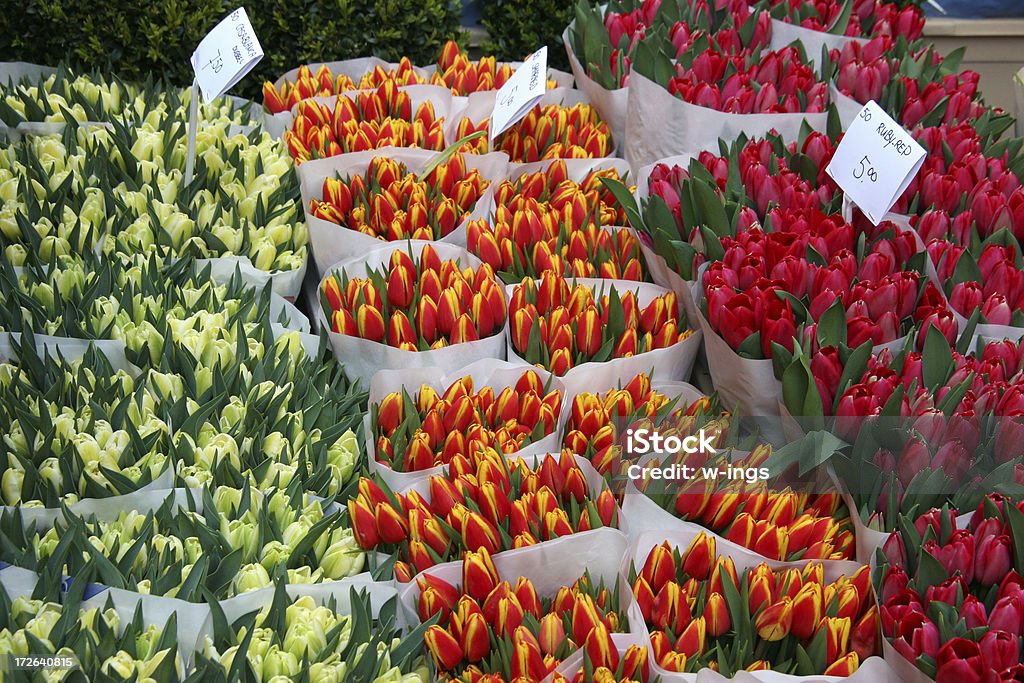 Bunte Tulpen Blumen austeilen - Lizenzfrei Ausverkauf Stock-Foto