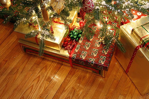 istock Gifts on Hardwood 172641067