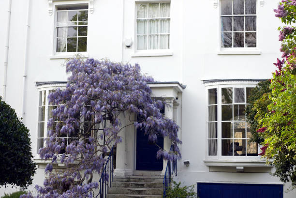 istock White House with Wisteria 172641117