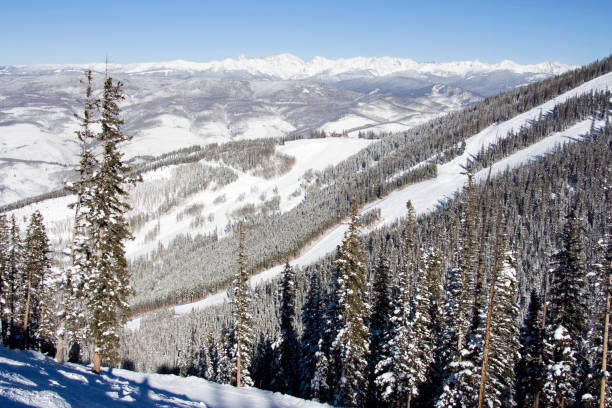istock Beaver Creek Birds of Prey 172641297