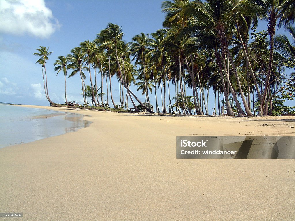 Plage des Caraïbes-République dominicaine - Photo de Ciel libre de droits