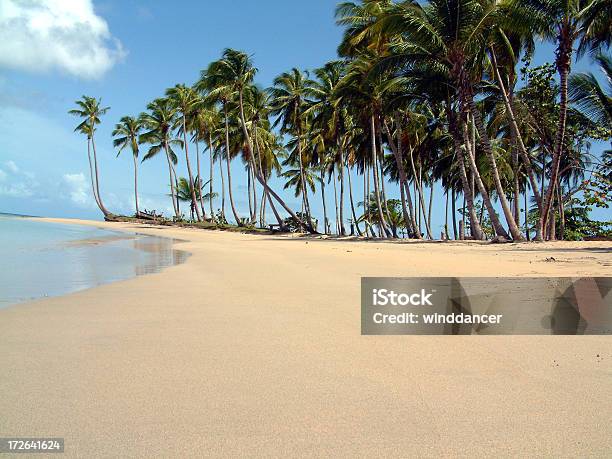 카리브해 비치도미니카공화국 대서양에 대한 스톡 사진 및 기타 이미지 - 대서양, 도미니카 공화국, 모래