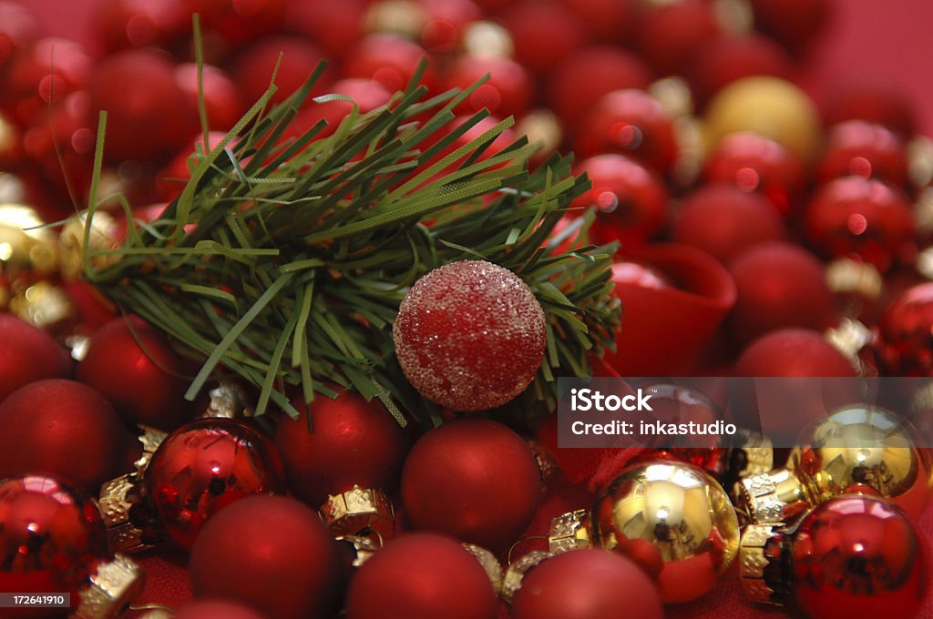 Magie de Noël - Photo de Aiguille - Partie d'une plante libre de droits