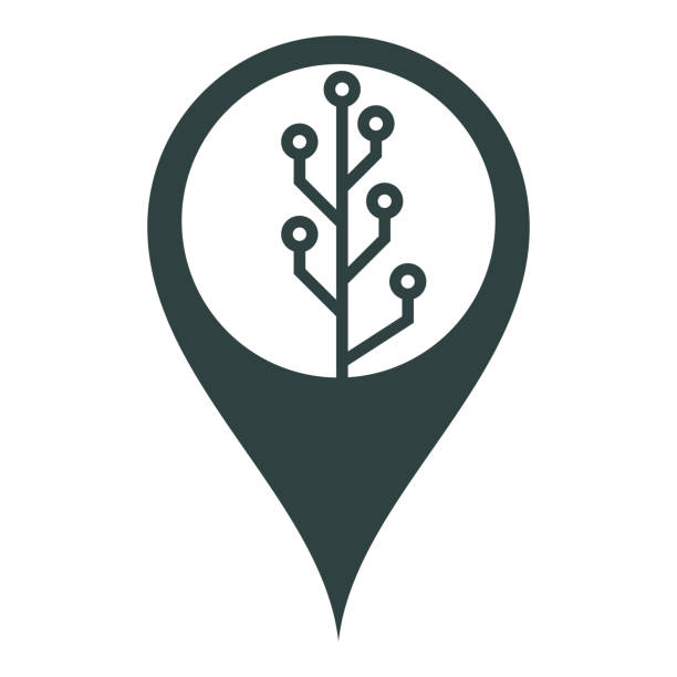 Navigation Tree Icon 1,000+ Network Tree Concept Map Stock Illustrations, Royalty-Free ...