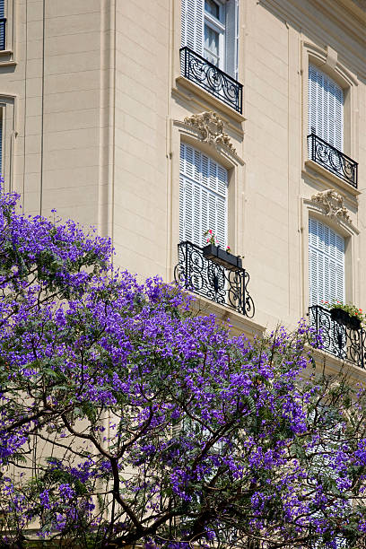 istock Recoleta, Buenos Aires, Argentina 172642589