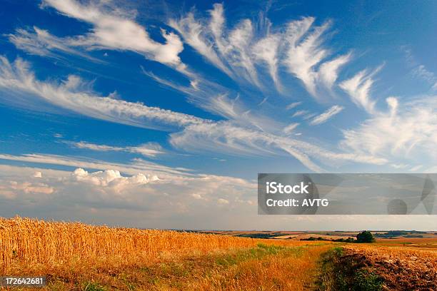 Cielo Nublado Foto de stock y más banco de imágenes de Agricultura - Agricultura, Aire libre, Azul