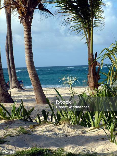 Foto de Vista Do Mar Do Caribe e mais fotos de stock de Areia - Areia, Esporte, Exotismo