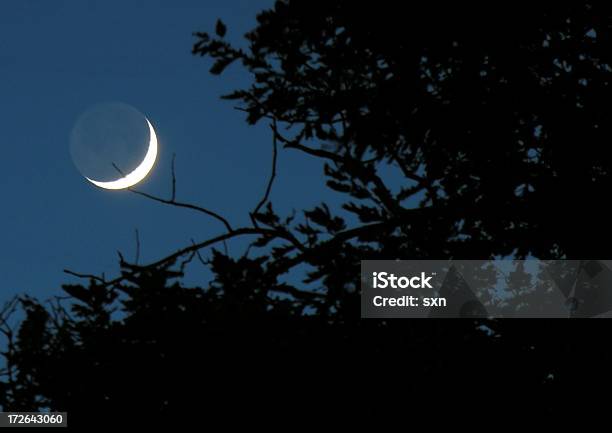 Beginnen Stockfoto und mehr Bilder von Mond - Mond, Halbmond - Form, Nacht