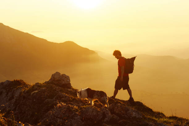istock Person hiking at sunset 1726431122