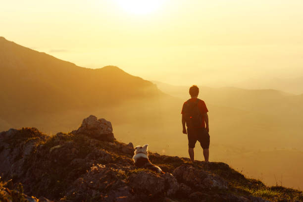 istock man in the mountains with his dog 1726431124
