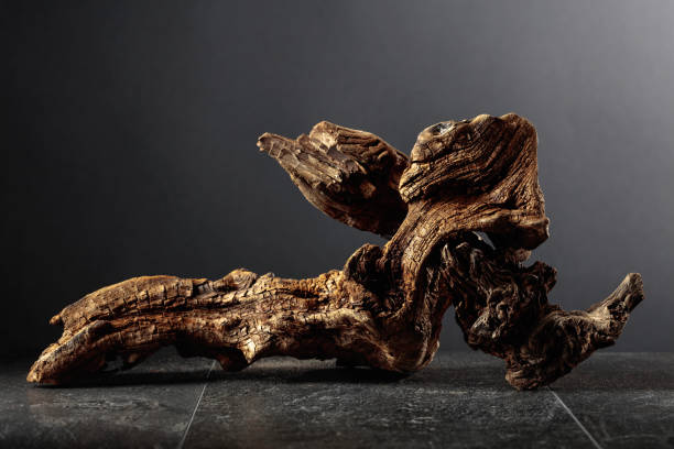 istock Old dry wooden snag on a black stone table. 1726431145