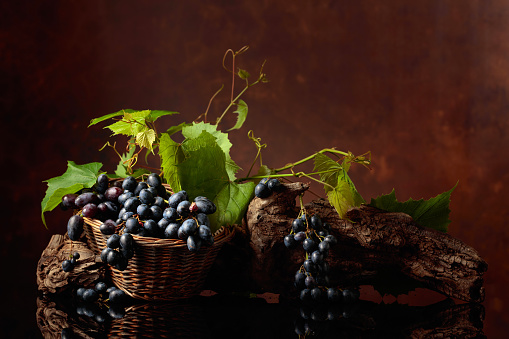 Blue grapes and vine branches on a black reflective background. Copy space.