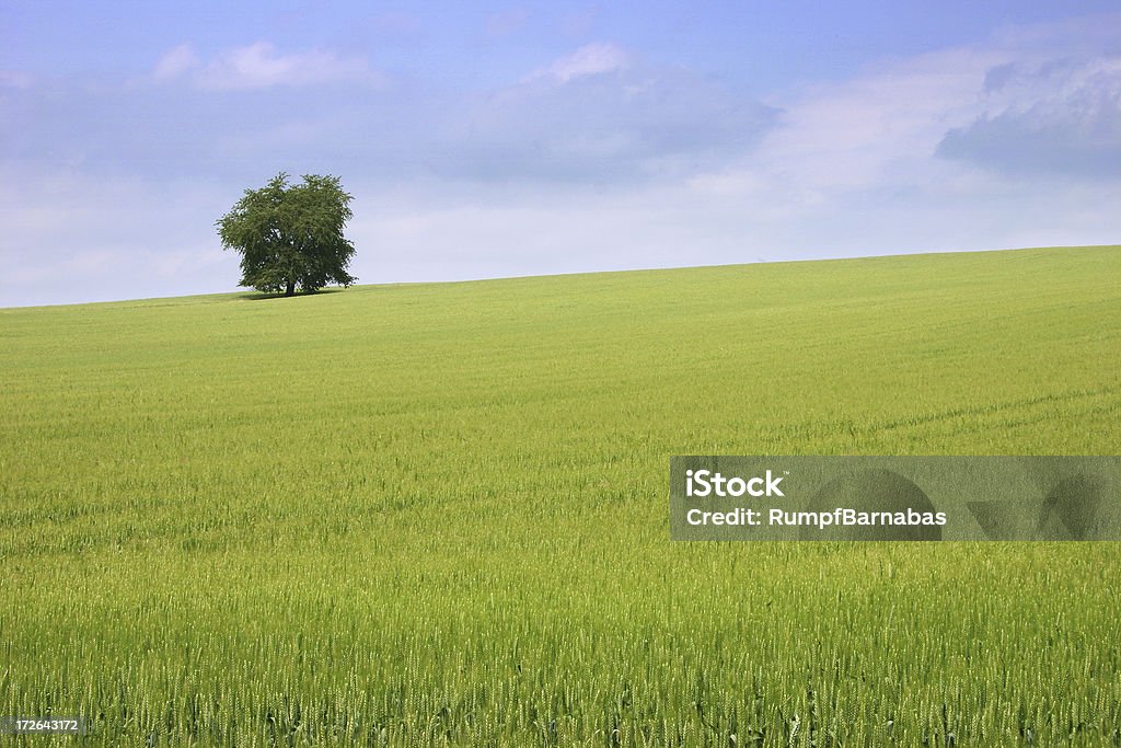 Seul - Photo de Autriche libre de droits