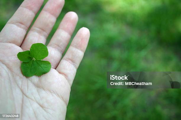 Trébol De Cuatro Hojas Iv Foto de stock y más banco de imágenes de Trébol - Trébol, Dar, Adulto