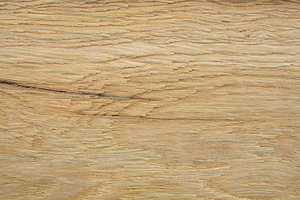 Textura de madeira em close-up. - foto de acervo