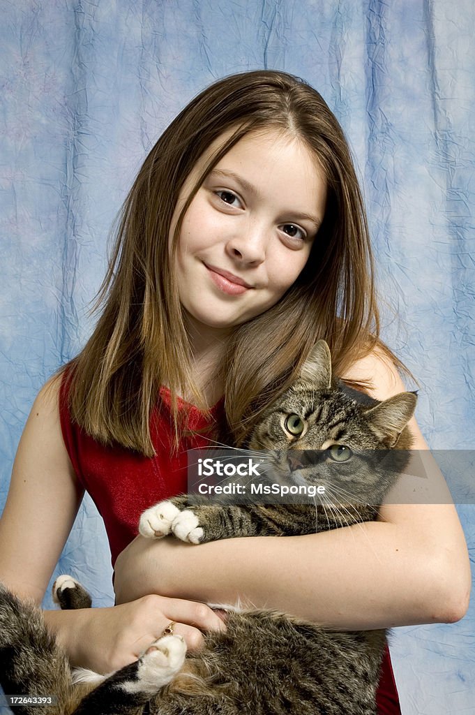 Adoro Kitty - 2 - Foto de stock de Gato doméstico royalty-free