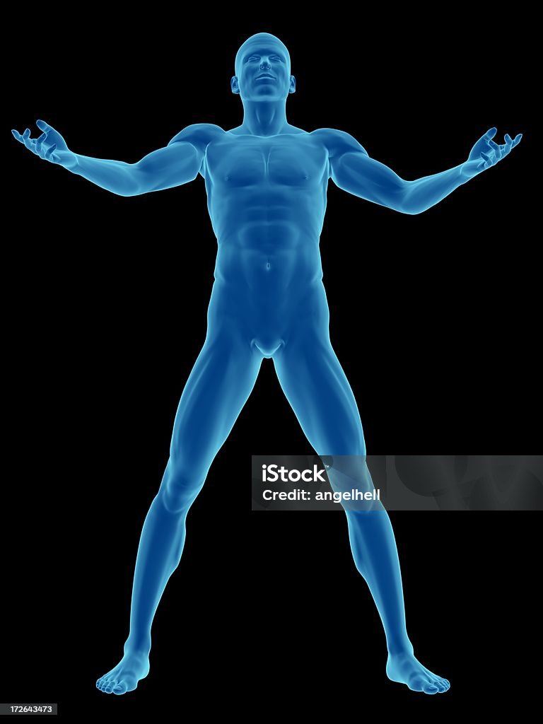 Corpo humano de um homem de pé e firme - Royalty-free Anatomia Foto de stock