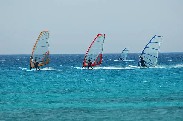 Photo of wind surf race