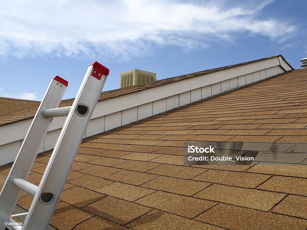 Vista sul tetto con scala Reddish Fuoco di sant'Antonio - Foto stock royalty-free di Tetto
