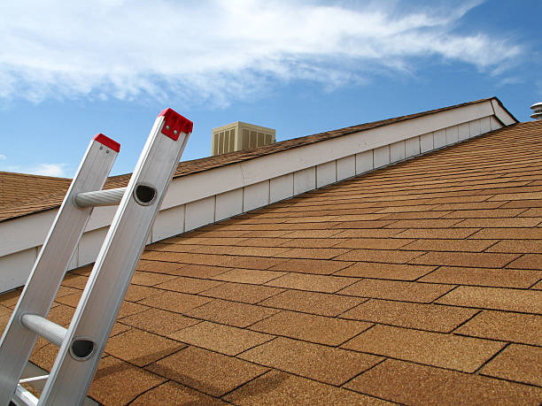 widok z dachu z widokiem na czerwono półpasiec drabina - roof roofer wood shingle house zdjęcia i obrazy z banku zdjęć