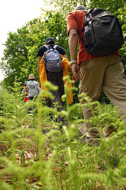 Chodźmy Hiking – zdjęcie