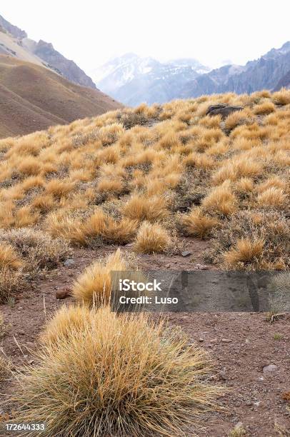 Przez Acconcagua Moutain Andy - zdjęcia stockowe i więcej obrazów Aconcagua - Aconcagua, Aconcagua Provincial Park, Argentyna