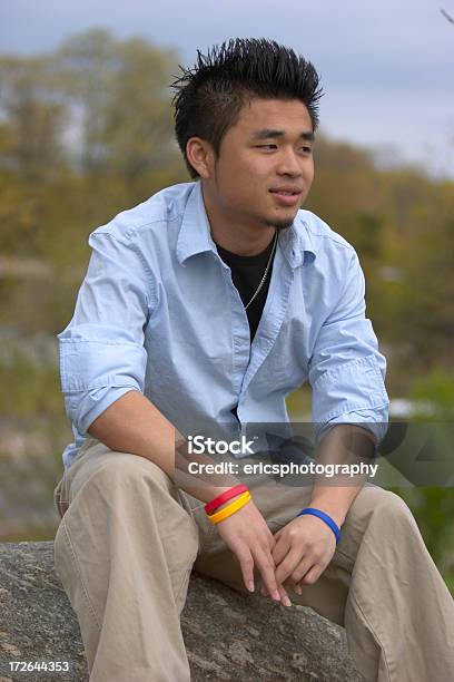 Joven Hombre Asiático Foto de stock y más banco de imágenes de Chicos adolescentes - Chicos adolescentes, Cultura vietnamita, Adolescente