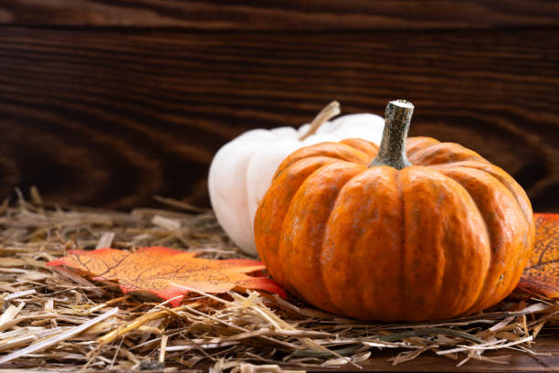 istock Mini thanksgiving pumpkins and autumn leaves 1726444319