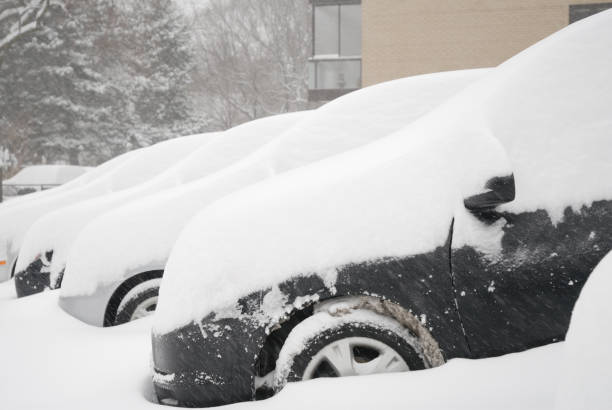 istock Snowed in cars 172644744
