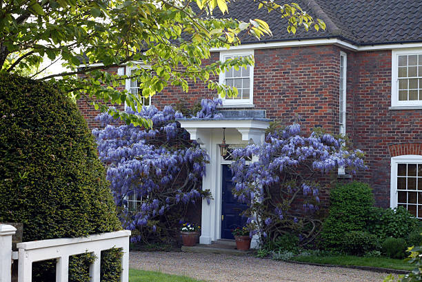 Large House with Wisteria