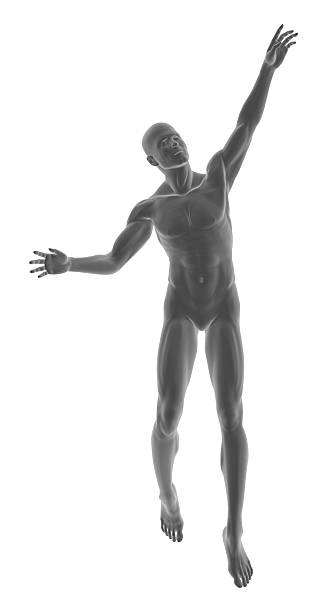 menschlichen körper eines mannes fast float - arms outstretched men anatomy front view stock-fotos und bilder