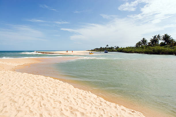 River meeting sea on a tropical Brazilian beach. Bahia, Brazil.