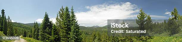 Mountain Panorama Stock Photo - Download Image Now - Colorado, Dirt Road, Footpath