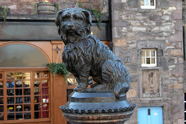 greyfriars Bobby edinburgh dog kirkyard stock pictures, royalty-free photos & images