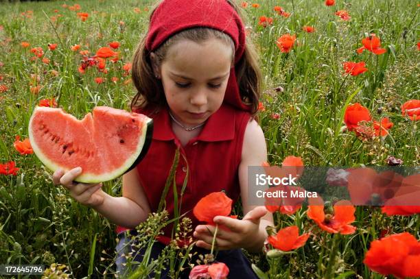 Photo libre de droit de Rouge Et Vert banque d'images et plus d'images libres de droit de 8-9 ans - 8-9 ans, Beauté, Champ