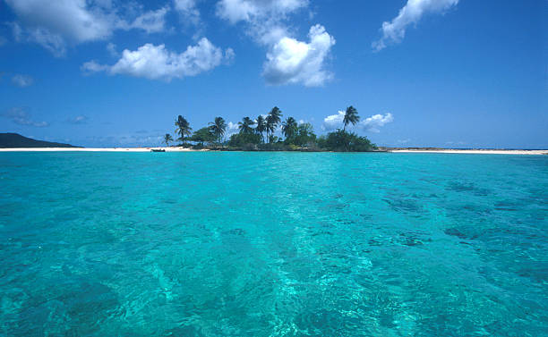 Playa caribeña isla - foto de stock