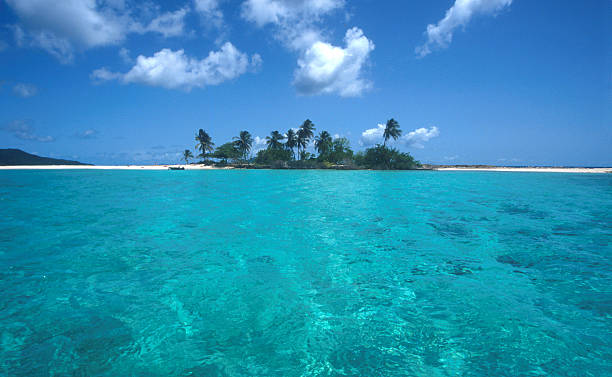 A Caribbean beach island and tropical clear waters