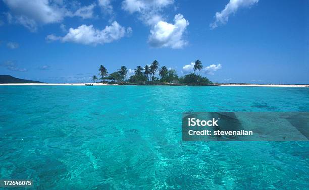 A Caribbean Beach Island And Tropical Clear Waters Stock Photo - Download Image Now - Desert Oasis, Island, Privacy