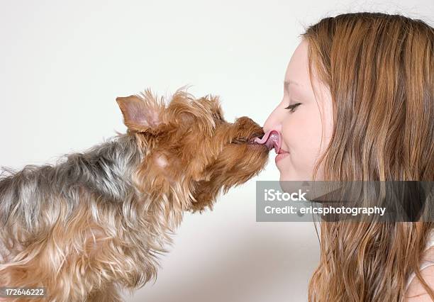 Die Liebe Des Welpen Stockfoto und mehr Bilder von Lecken - Lecken, Lippen, Hund